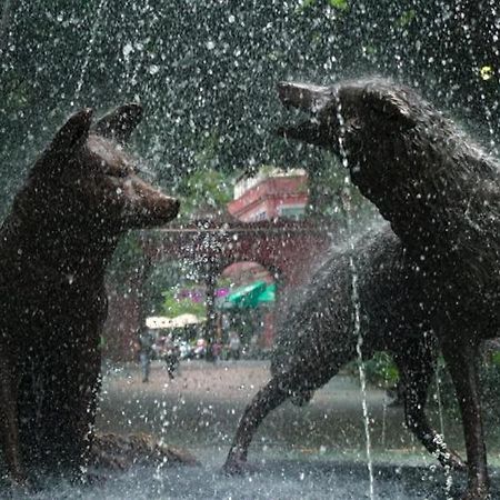 Casa Kalidy Coyoacan เม็กซิโกซิตี้ ภายนอก รูปภาพ