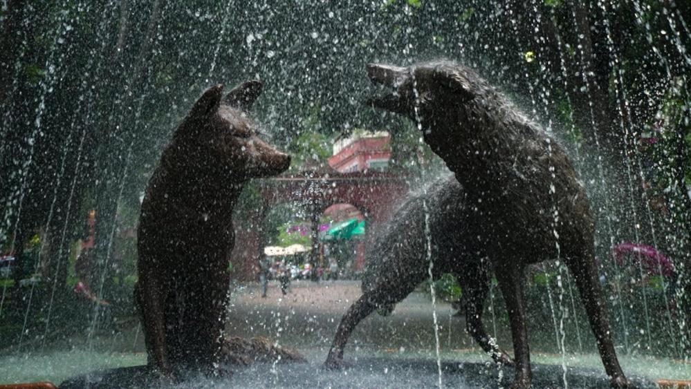 Casa Kalidy Coyoacan เม็กซิโกซิตี้ ภายนอก รูปภาพ